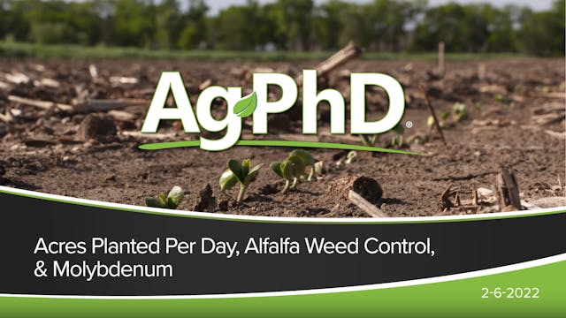 Acres Planted Per Day, Alfalfa Weed C...