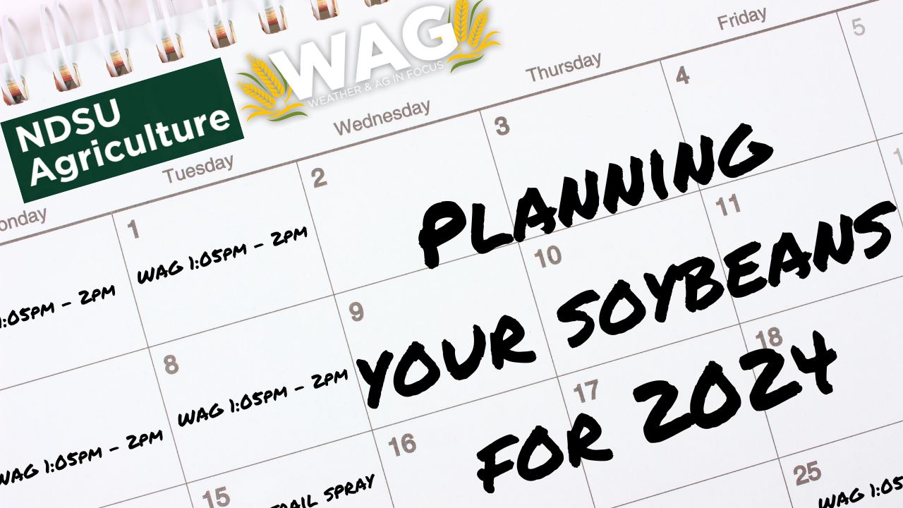 Planning Your Soybeans for 2024 | WAG in Focus 11/3/23
