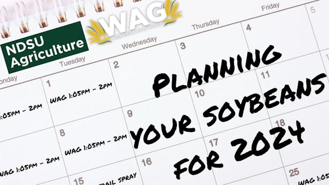 Planning Your Soybeans for 2024 | WAG...