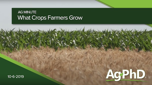 What Crops Farmers Grow