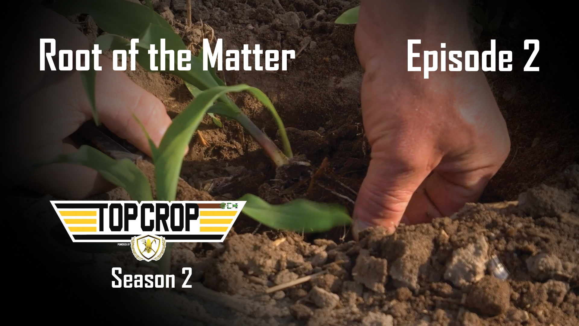 Root of the Matter | Episode 2 | Top Crop