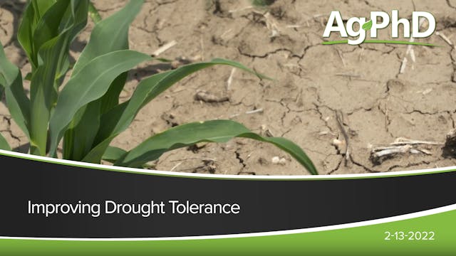 Improving Drought Tolerance
