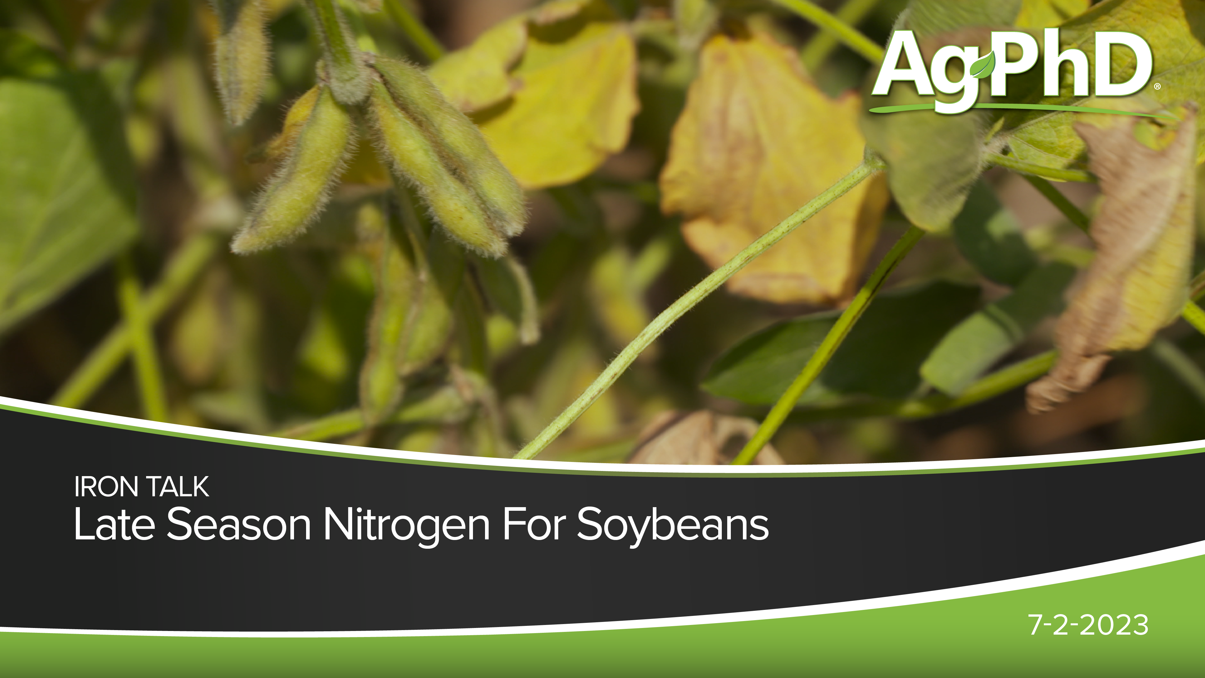 Late Season Nitrogen for Soybeans | Ag PhD