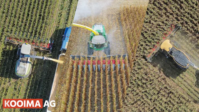 Domai 12-Row Folding Corn Head, 3 Hoo...