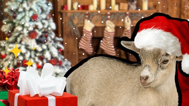 Christmas Farmer Doug Hoffbauer of Du...