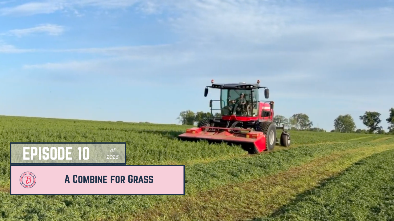 A Combine for Grass | Chronicles of Kayla