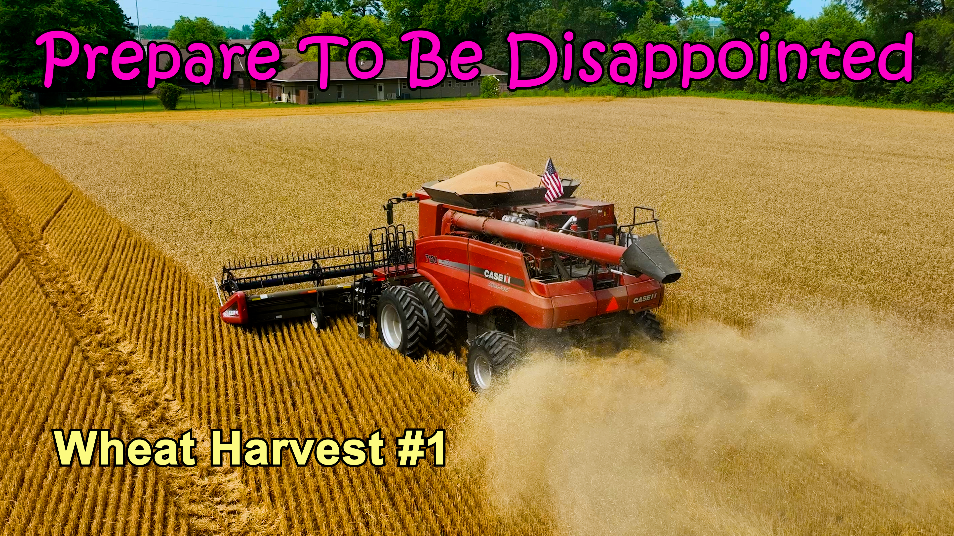 Prepare To Be Disappointed... Wheat Harvest #1 | Griggs Farms