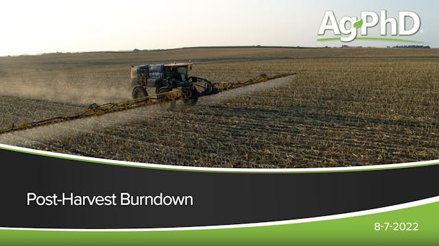 Post-Harvest Burndown | Ag PhD