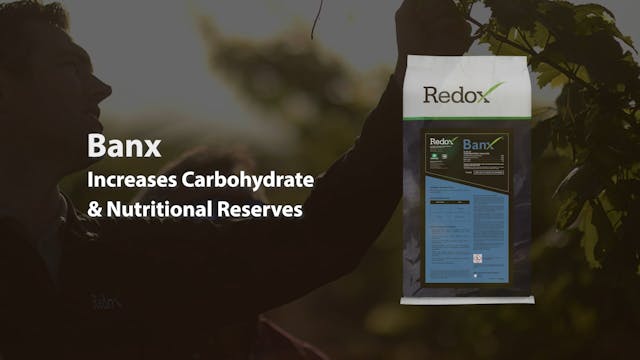 Redox Banx™