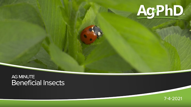 Beneficial Insects | Ag PhD