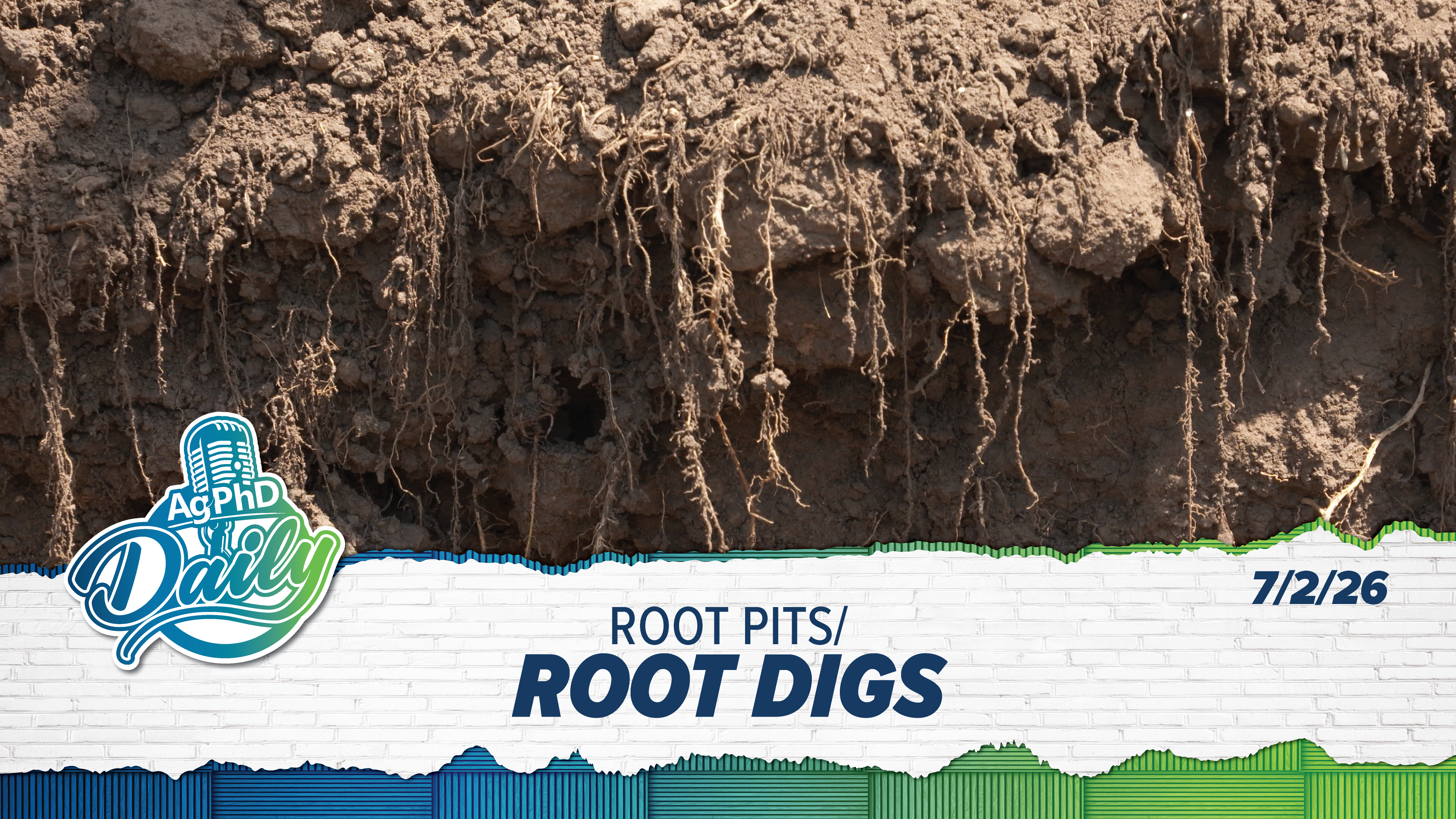Root Digs & Root Pits | Ag PhD Daily | 07 02 26