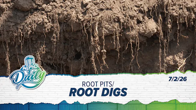 Root Digs & Root Pits | Ag PhD Daily ...