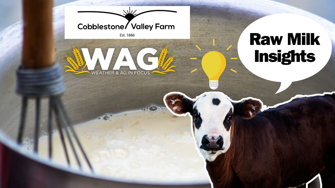 Raw Milk Insights | WAG in Focus 11/20/23