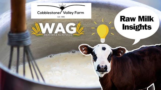 Raw Milk Insights | WAG in Focus 11/2...