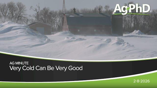 Very Cold Can Be Very Good | Ag PhD