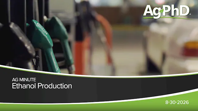 Ethanol Production | Ag PhD