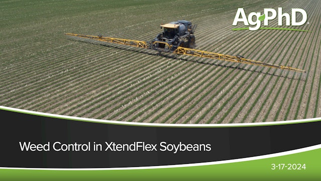 Weed Control in XtendFlex Soybeans | Ag PhD