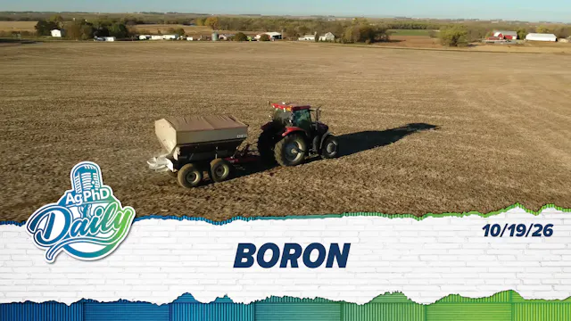 Boron | Ag PhD Daily | 10/19/26