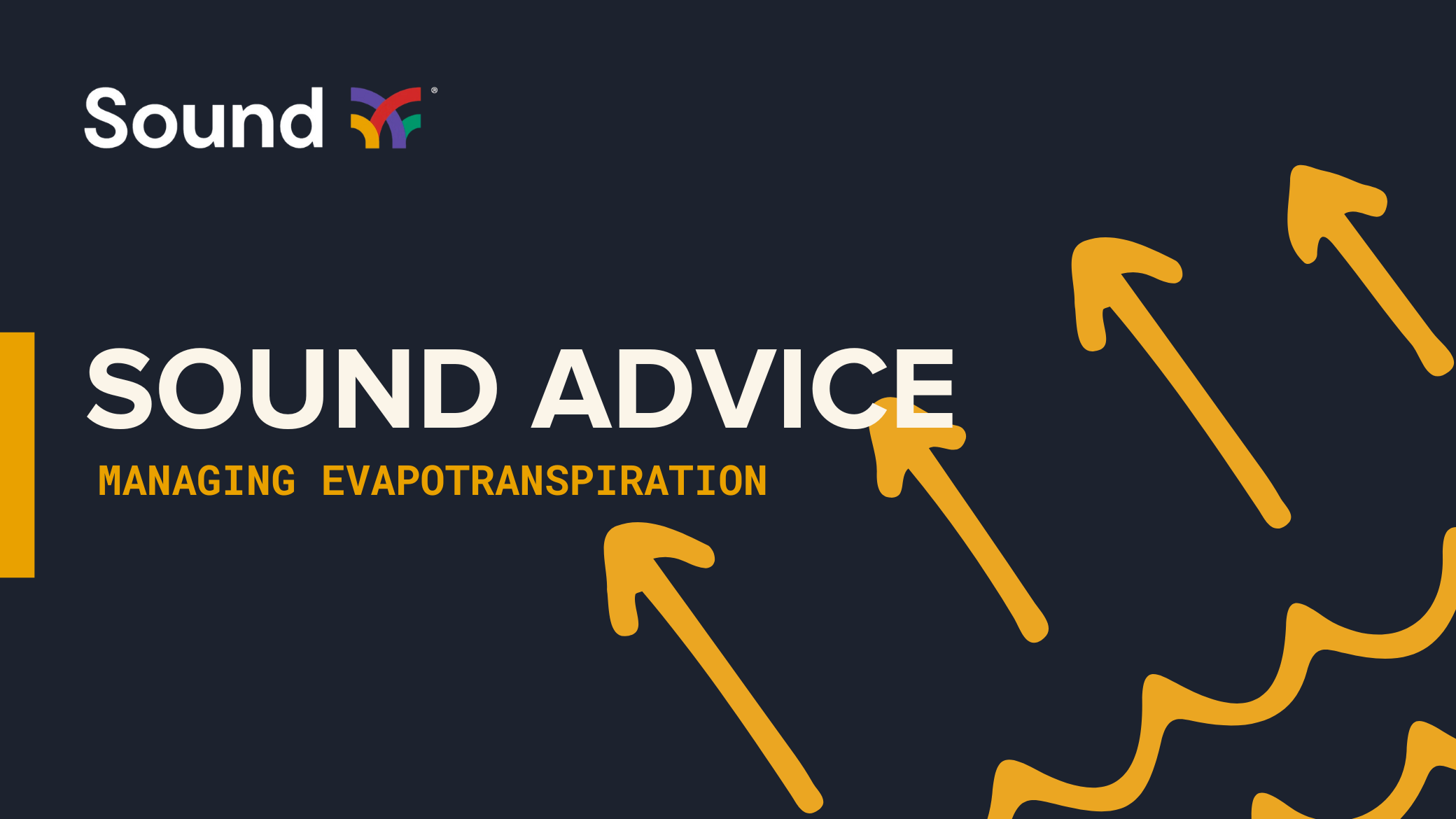 Sound Advice: Everything You Need to Know About Evapotranspiration