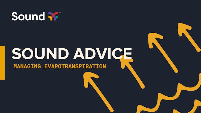 Sound Advice: Everything You Need to ...