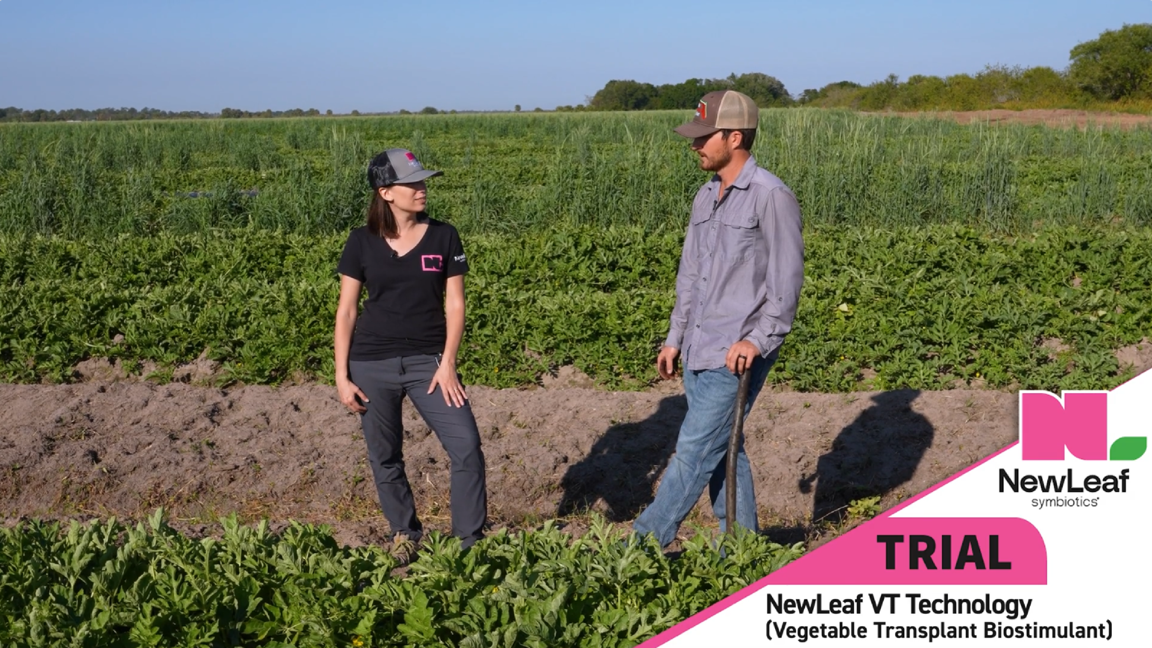 From Roots to Results | Pink Performance Tour | NewLeaf Symbiotics
