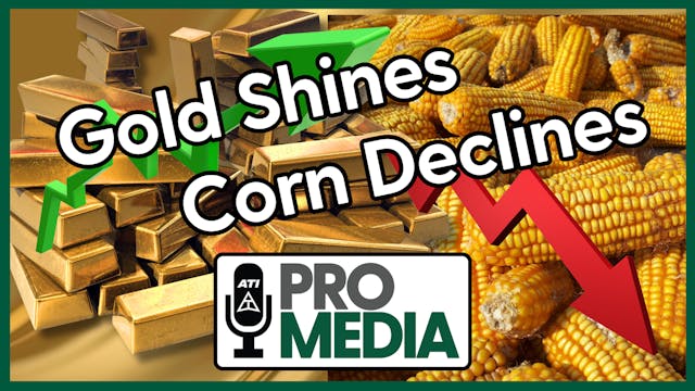 Gold Shines - Corn Declines | ATI Pro...