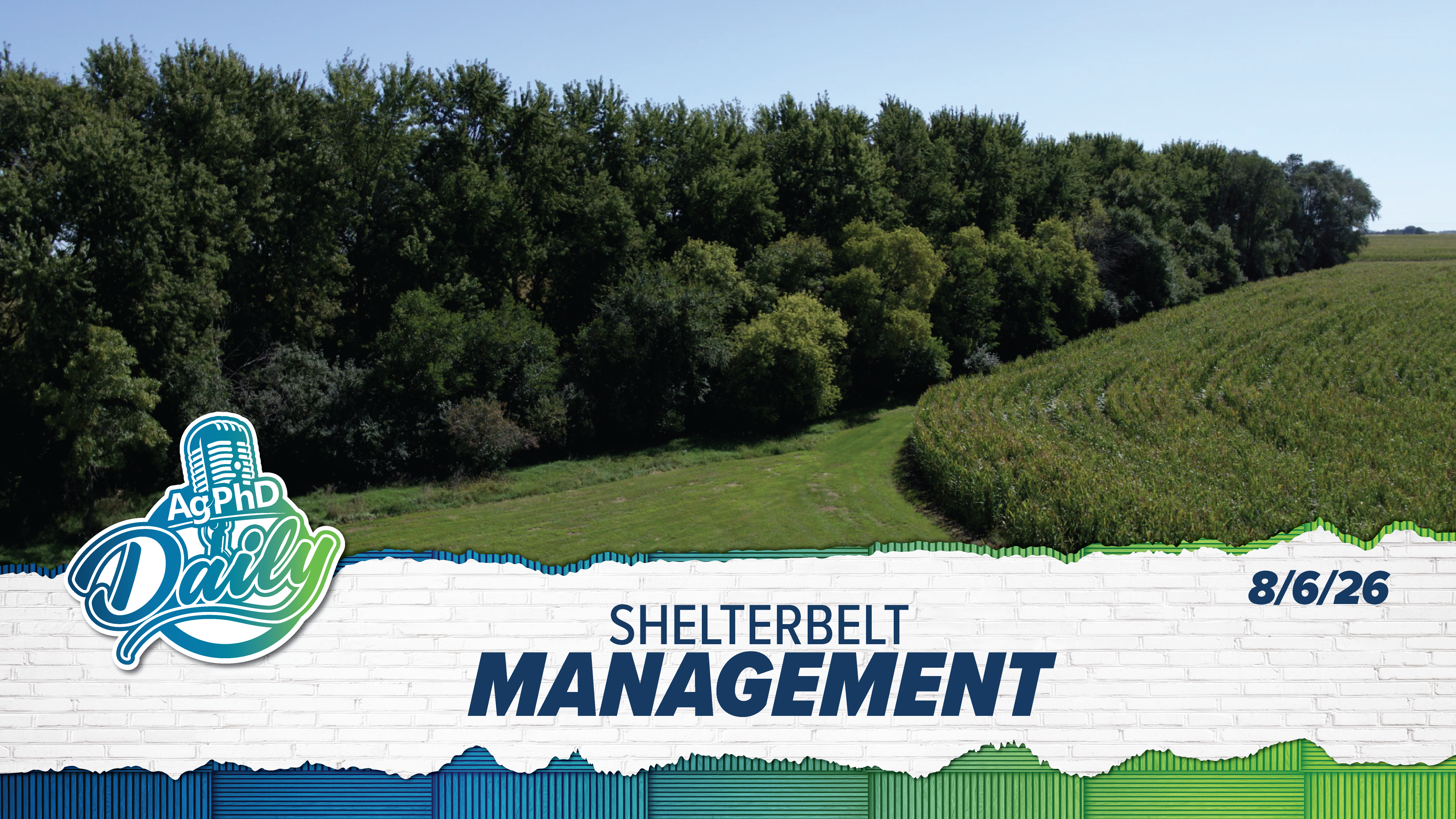 Shelterbelt Management | Ag PhD Daily | 8/6/2026