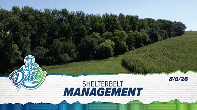 Shelterbelt Management | Ag PhD Daily...