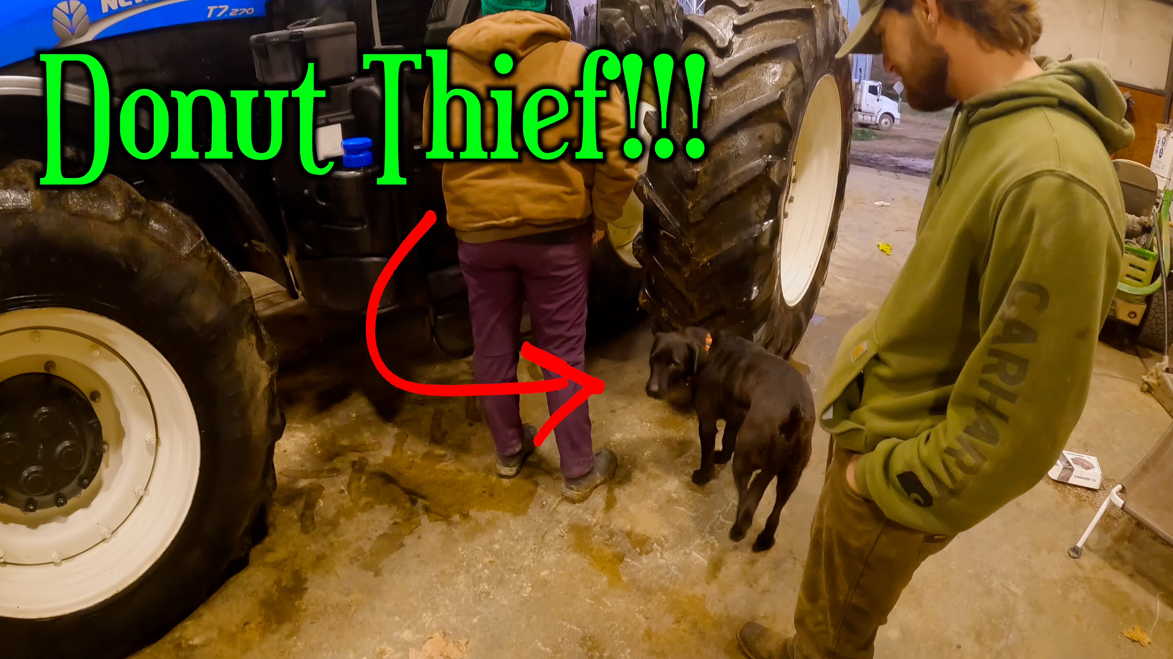 There's A Thief Among Us...  | Griggs Farms
