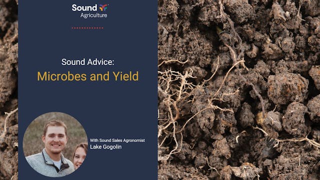 Sound Advice: Soil Microbes and Yield
