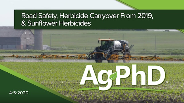 Road Safety, Herbicide Carryover from 2019 & Sunflower Herbicides | Ag PhD