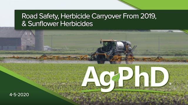 Road Safety, Herbicide Carryover from...