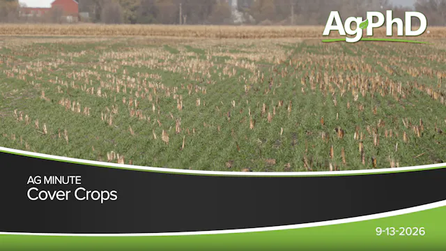 Cover Crops | Ag PhD
