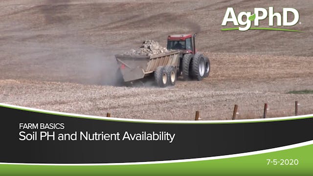 Soil pH and Nutrient Availability