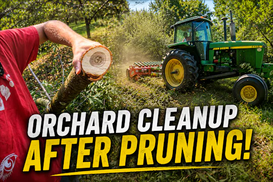 Behind the Scenes: Shredding Brush in...