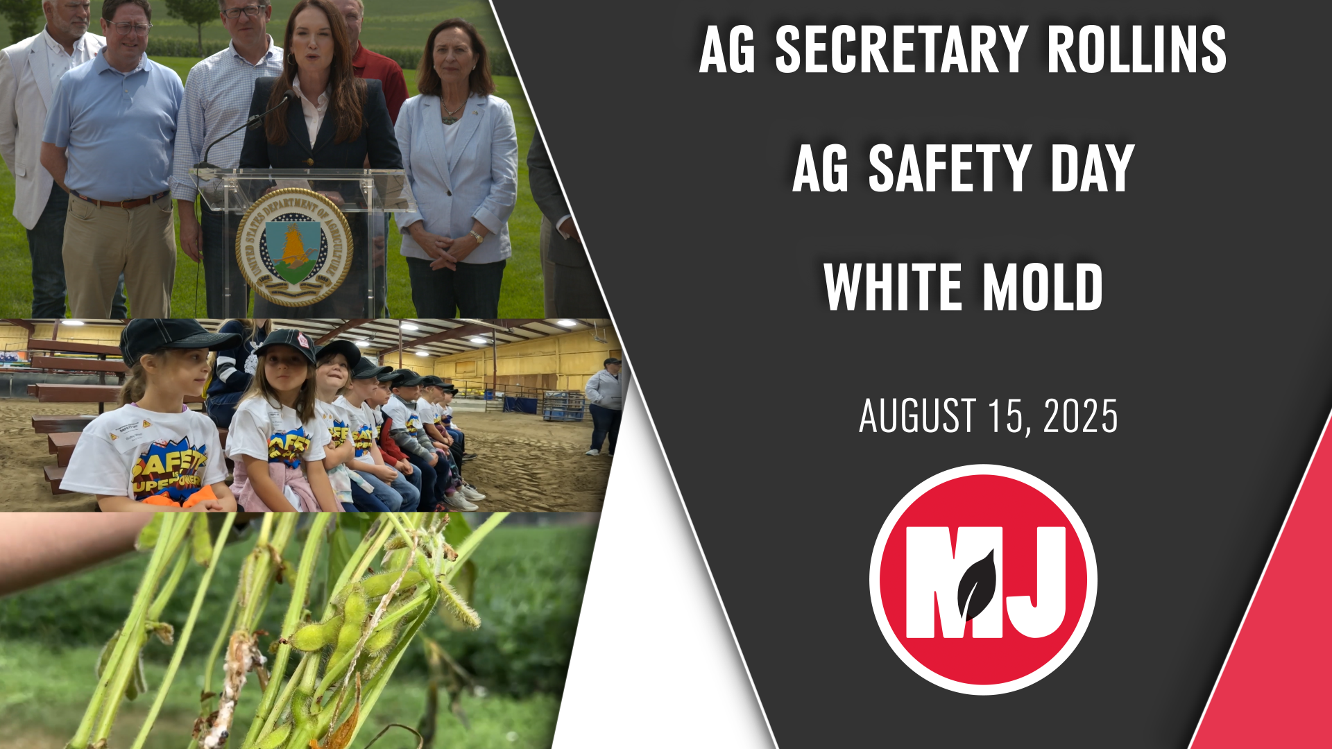 August 15, 2025 | Market Journal