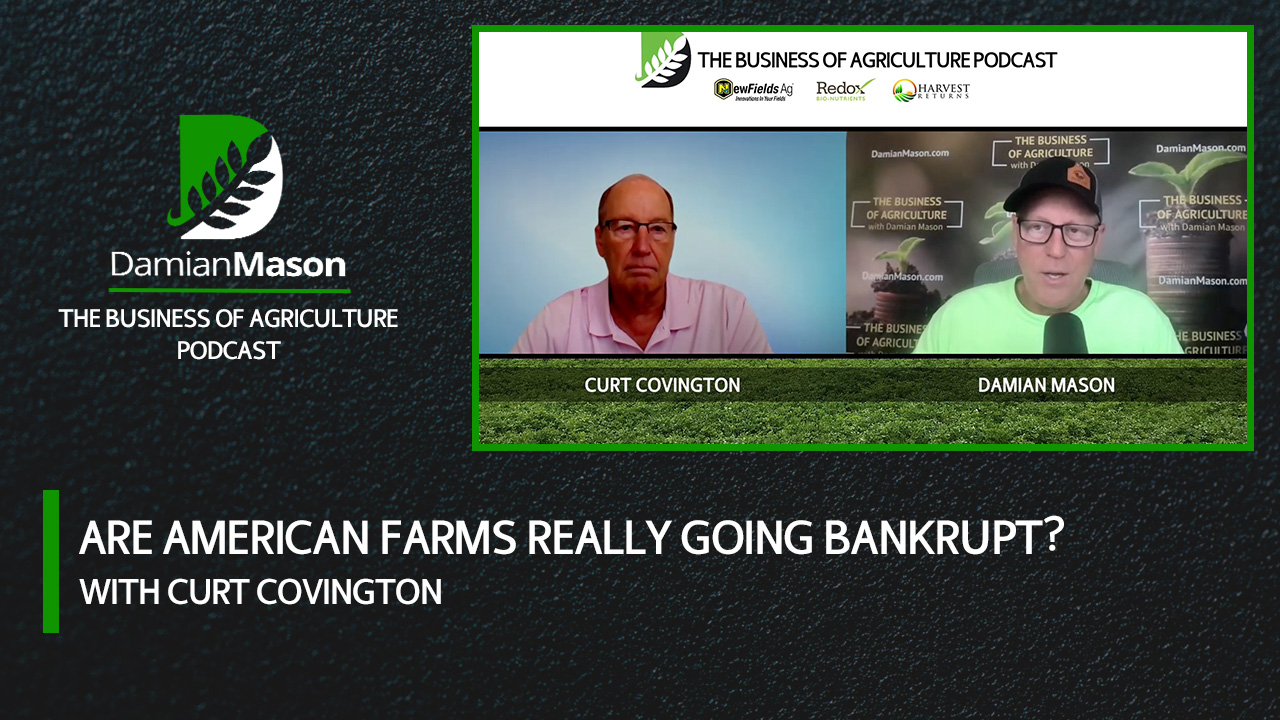Are American Farms Really Going Bankrupt? | Damian Mason