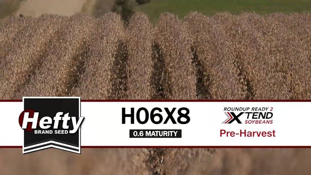 H06X8 | 0.6-Maturity | Xtend