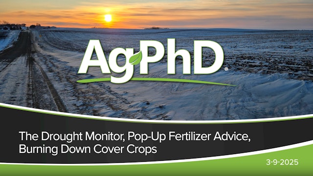 The Drought Monitor, Pop-Up Fertilizer Advice, Burning Down Cover Crops | Ag PhD