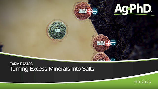 Turning Excess Minerals Into Salts | ...