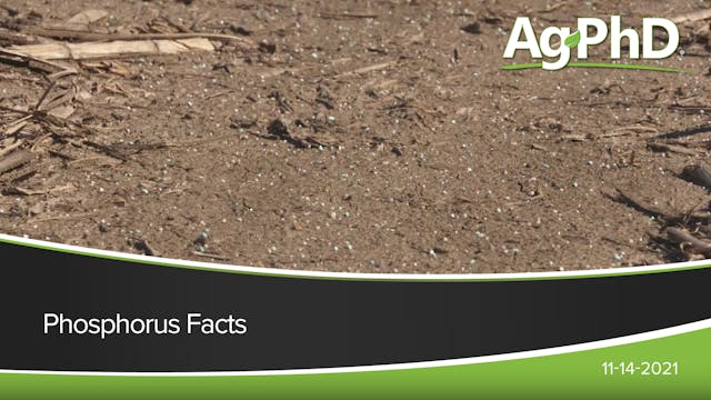 Phosphorus Facts | Ag PhD