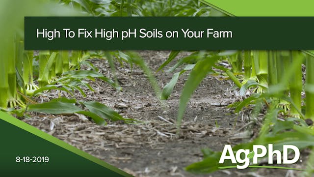 How to Fix High pH Soils on Your Farm...