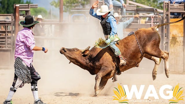 The Rodeo Industry is BUCKING Awesome...