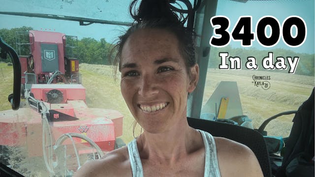 Biggest Day Yet ... 3400 Bales! | Chr...