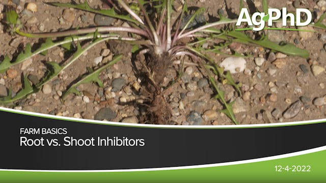 Root vs Shoot Inhibitors | Ag PhD