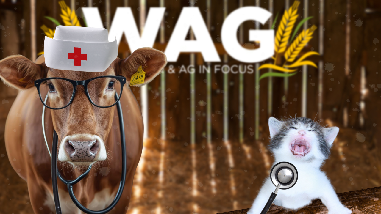 Essentia Health Fit Farmer Focus | WAG in Focus 04-30-26