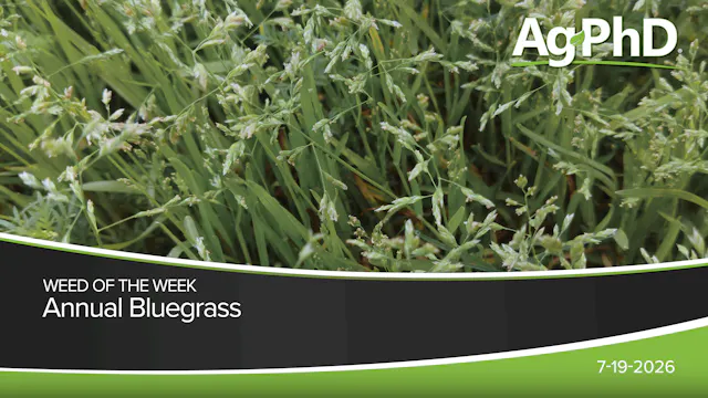 Annual Bluegrass | Ag PhD