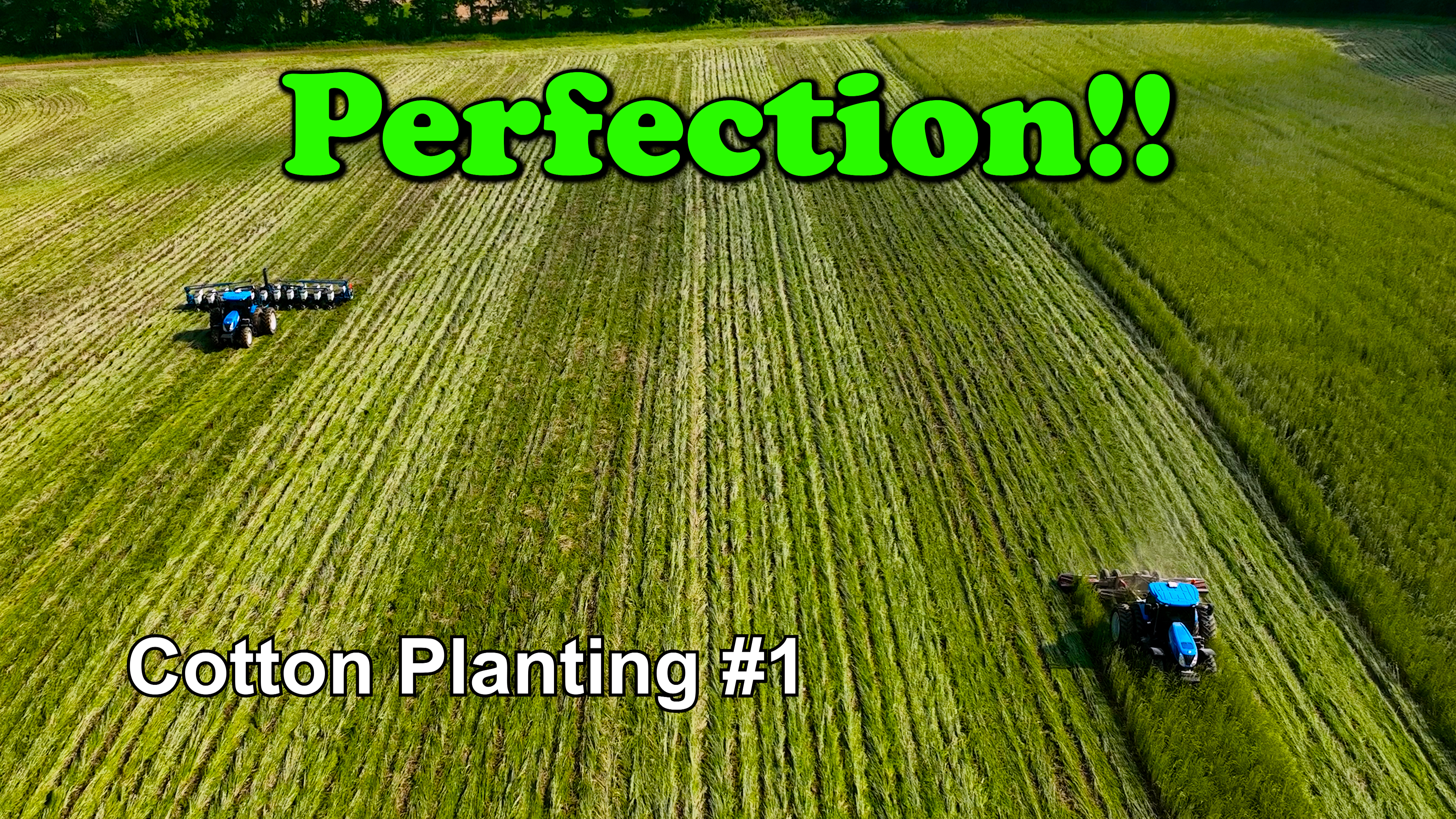 Perfection!!! Cotton Planting | Griggs Farms
