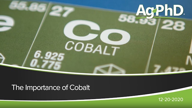 The Importance of Cobalt