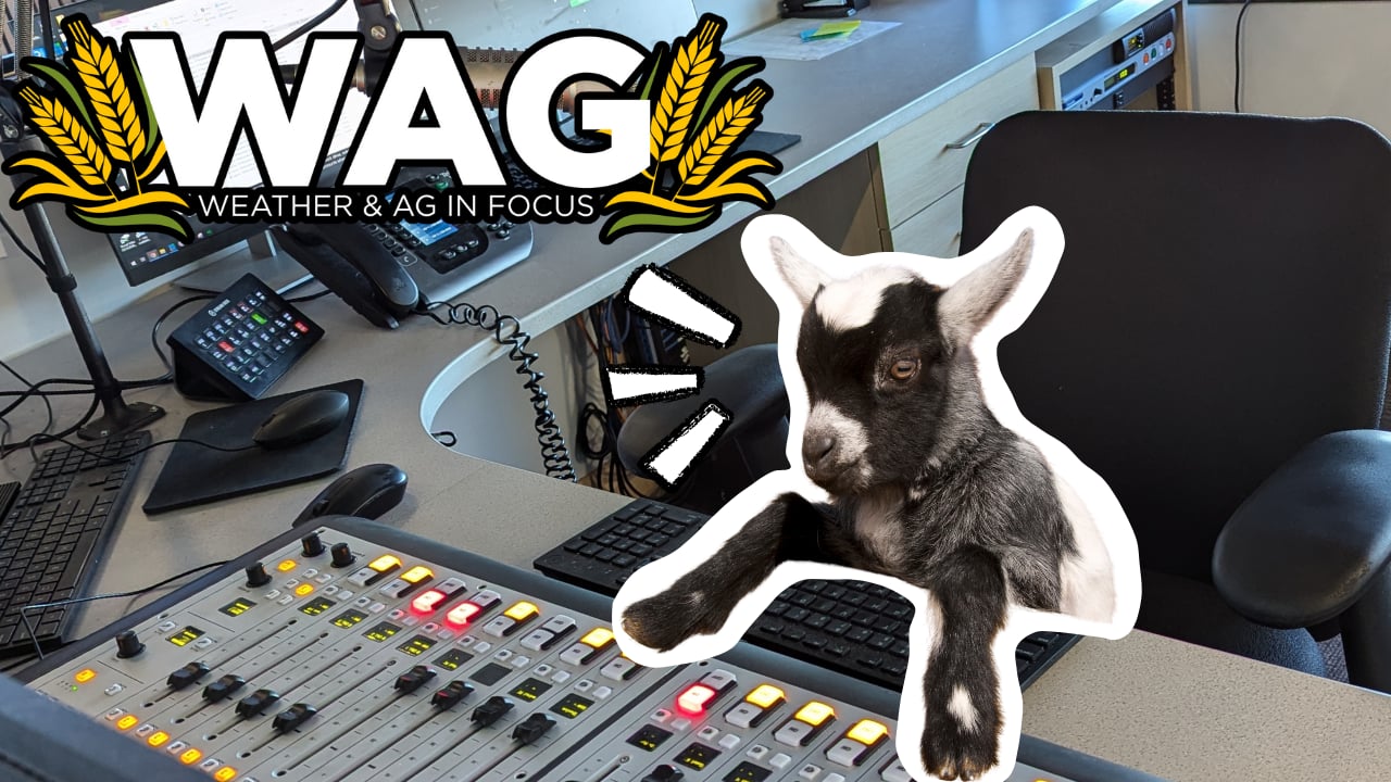 Farmer Taking Out the Trash | WAG in Focus 03-10-25